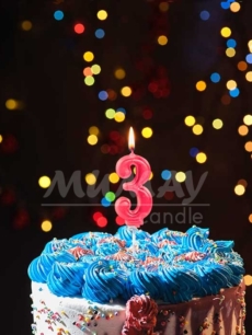 3 Sayi 4